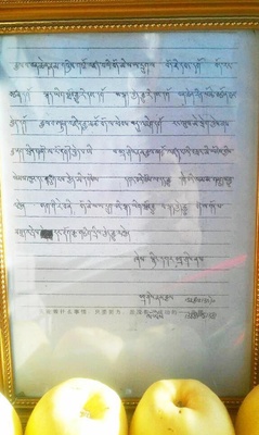 samospalenienjingkartaszirebgong12listopada2012testament_400_01